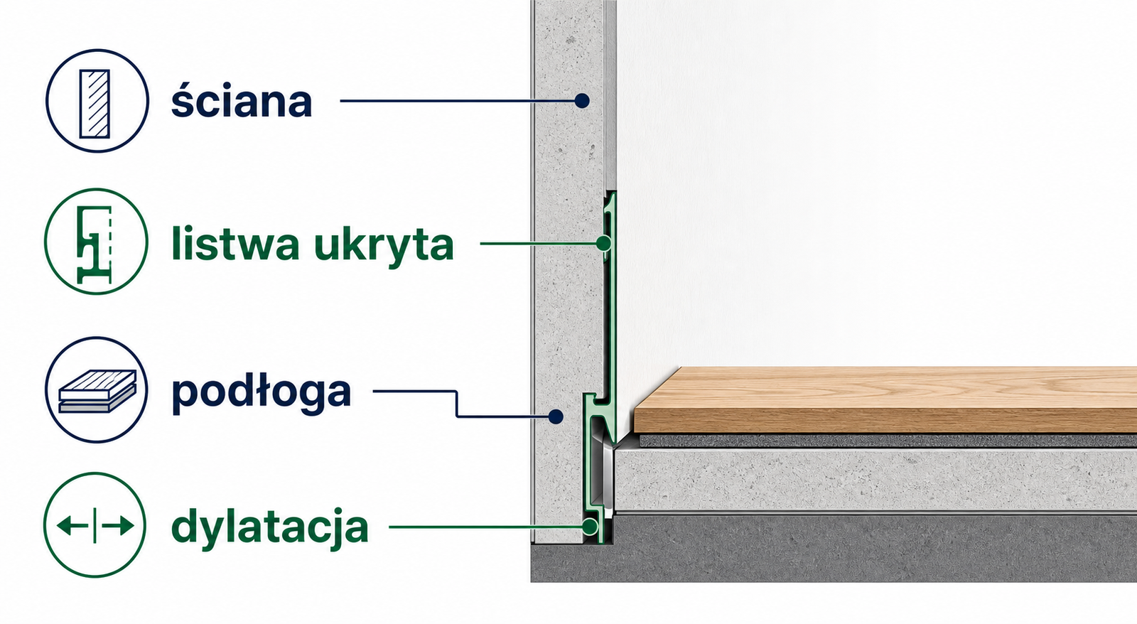 Przekrój pokazujący ścianę, podłogę, dylatację i listwę ukrytą zlicowaną ze ścianą